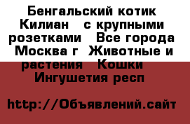 Бенгальский котик Килиан , с крупными розетками - Все города, Москва г. Животные и растения » Кошки   . Ингушетия респ.